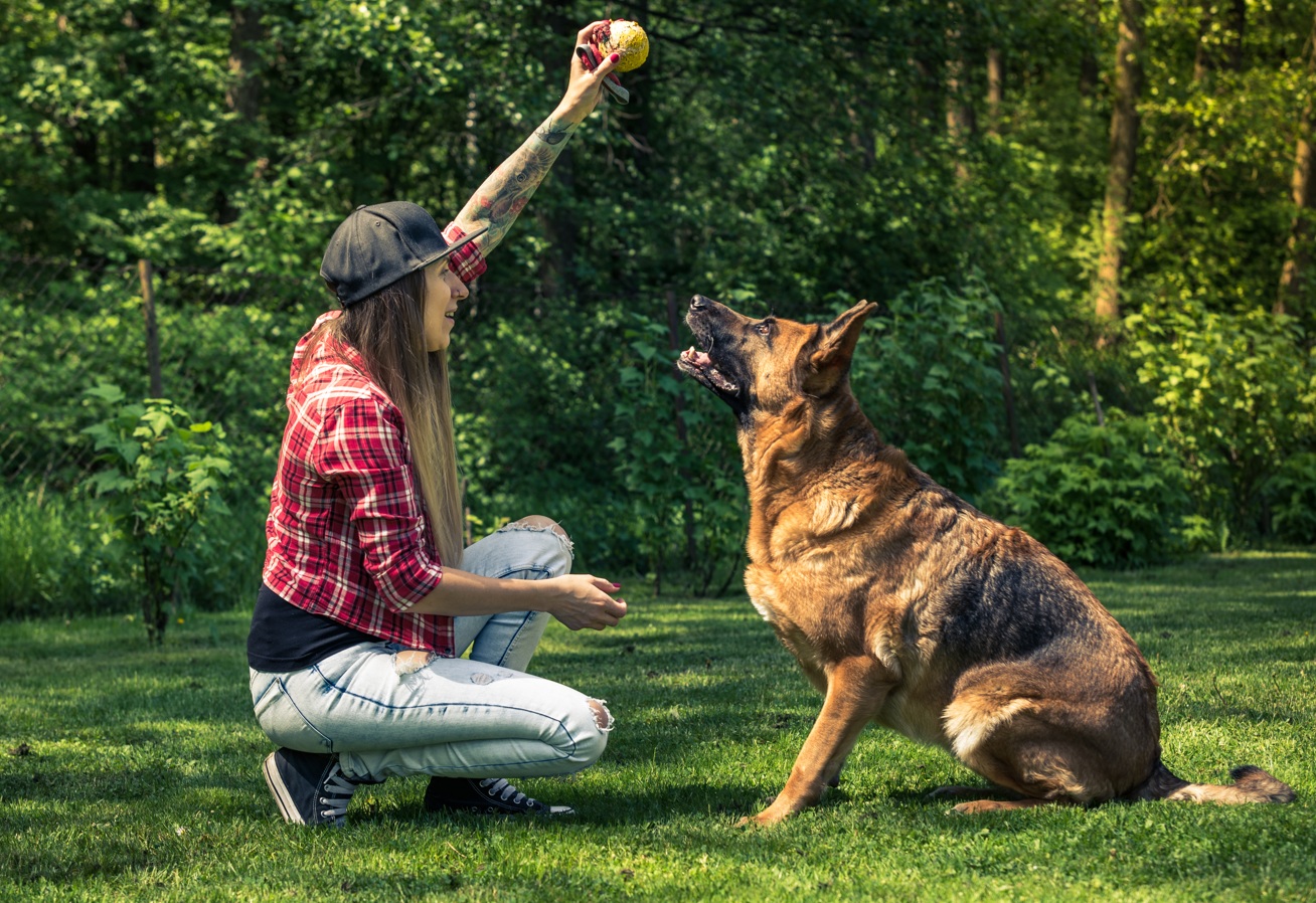 Geraldine Humphreys training a dog outdoors