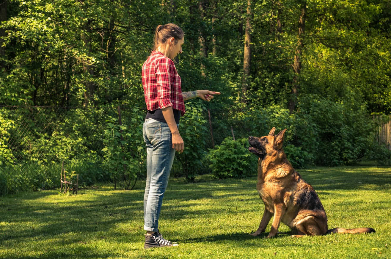 Geraldine Humphreys working with a dog on a training exercise