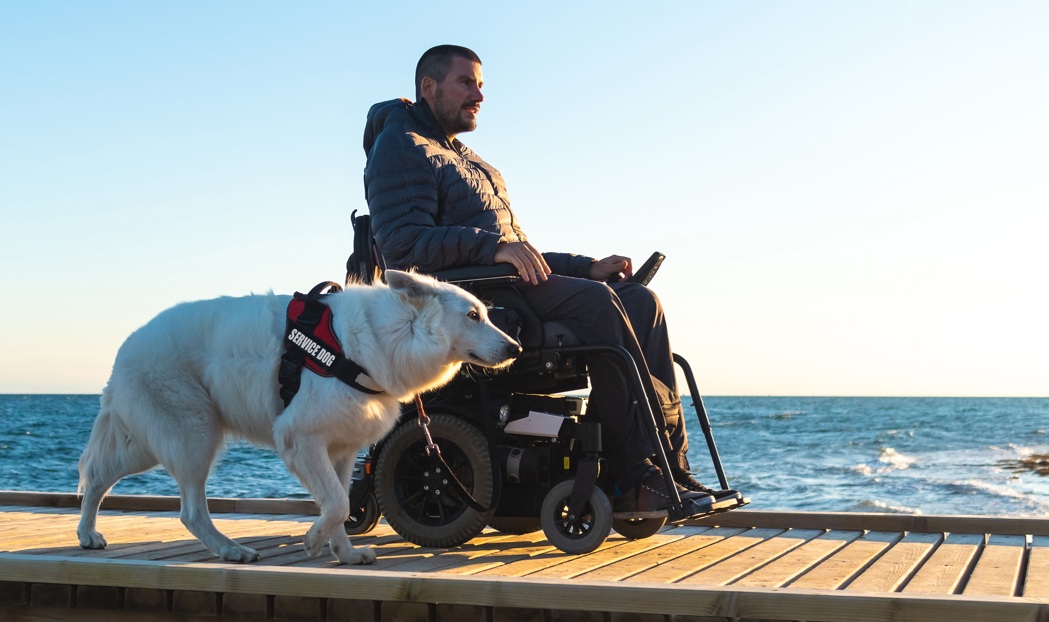 Service dog working with a trainer in a field
